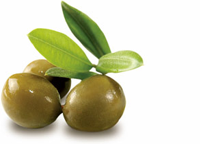 Bio-Oliven